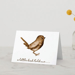 a little bird told me card