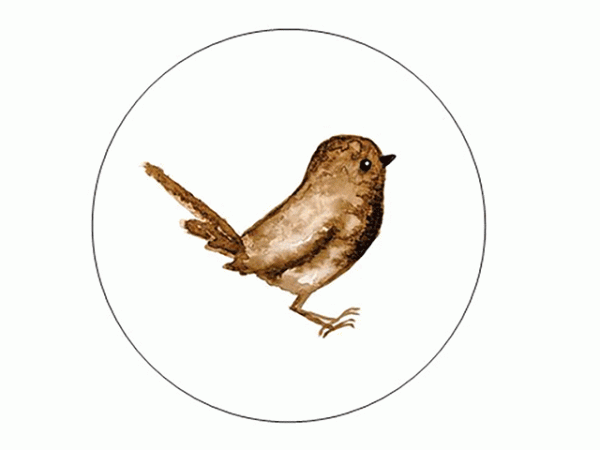 a little bird told me watercolor sticker seal