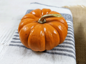 decorative pumpkin on a tea towel