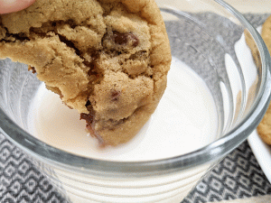 the best chocolate chip cookies ever