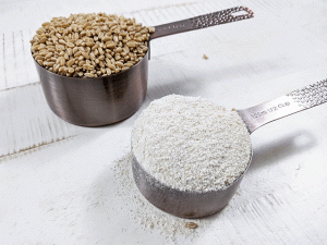 wheat berries and wheat flour in measuring cup