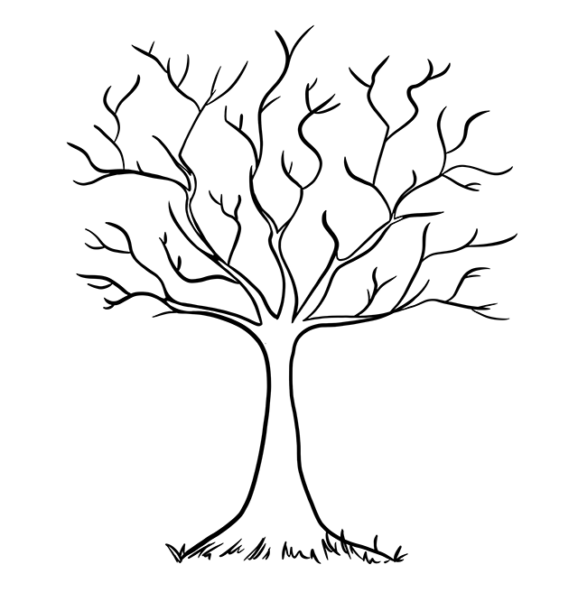 Tree, Tree, Tree template for preschool age activities by jennibeedoodles