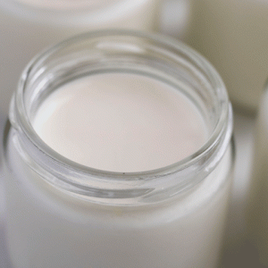 thick and creamy yogurt in a jar made with Eurocuisine yogurt maker