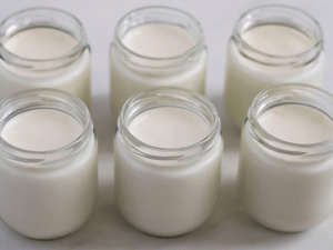 jars of thick and creamy yogurt made with Eurocuisine yogurt maker