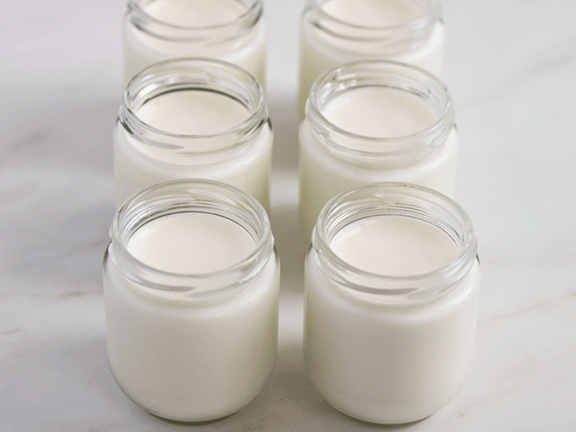 jars of yogurt made with Eurocuisine yogurt maker