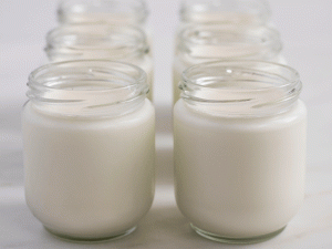 jars of thick and creamy yogurt made with Eurocuisine yogurt maker