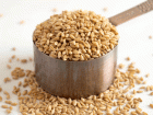 wheat in a small measuring cup