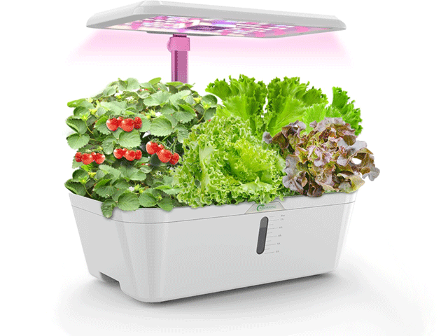 hydroponics tank
