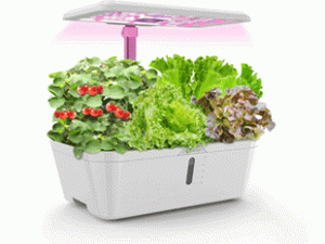 hydroponics tank