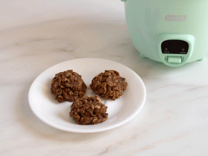 dash mini rice cooker no bake cookies