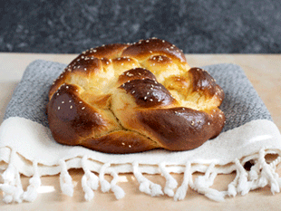 braided egg bread (challah)