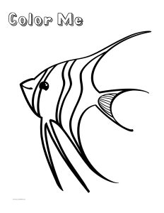 color me anglefish preschool printable page